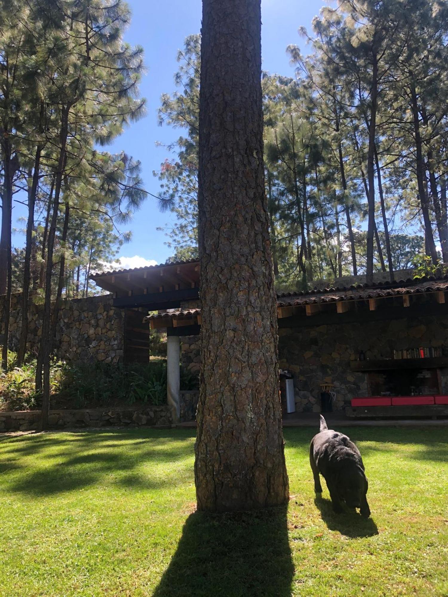 Xomue Bed & Breakfast Valle de Bravo Exterior photo